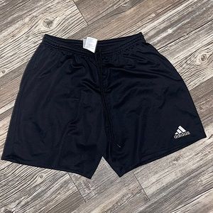 women’s shorts